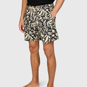 Aiden Men Walk Shorts | Feather Grey